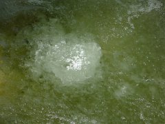 20110220-21_Yosemite 090